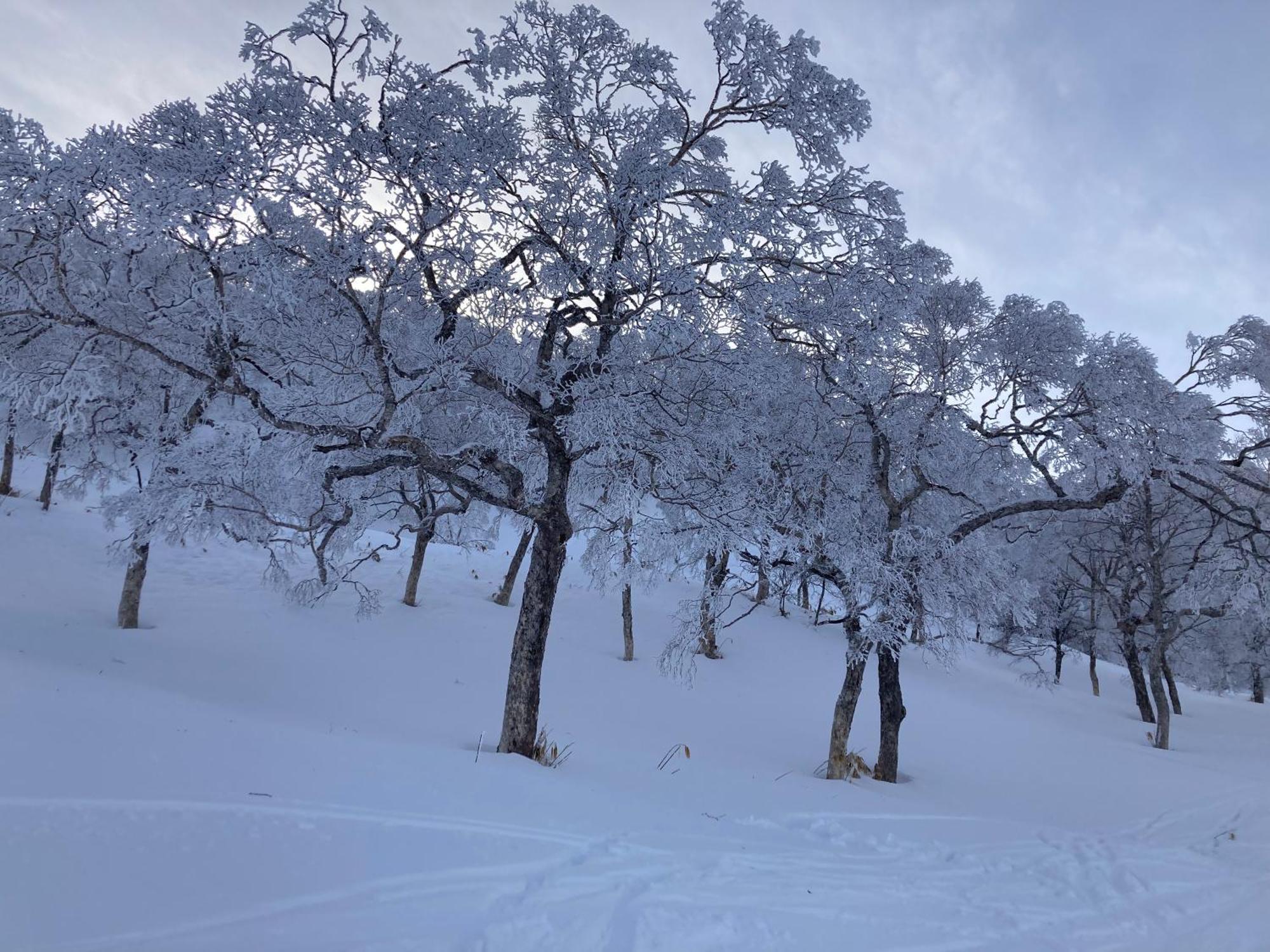 Murmeln Yuzawa  Luaran gambar